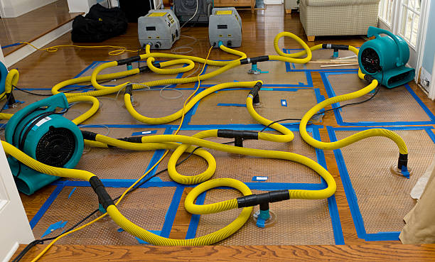Professional Basement Flood Cleanup technician working in Peterson, MN
